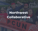 Northwest Collaborative